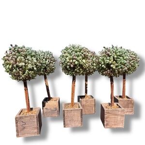 Artificial Tabletop Boxwood Topiary Trees Cottage House Granny Core Round Plant